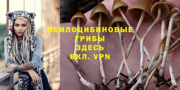 дживик Алексин