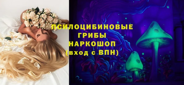 дживик Алексин