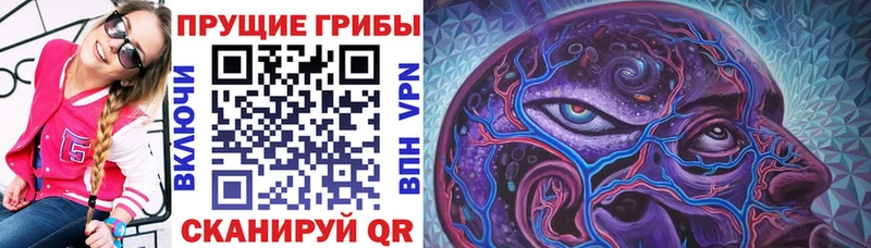 наркотики  Лагань  Галлюциногенные грибы ЛСД 
